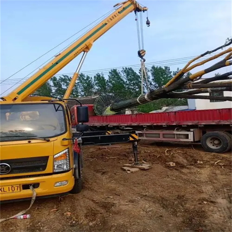 应城100吨吊车租赁费用怎么算？3大关键因素+省钱技巧全解析